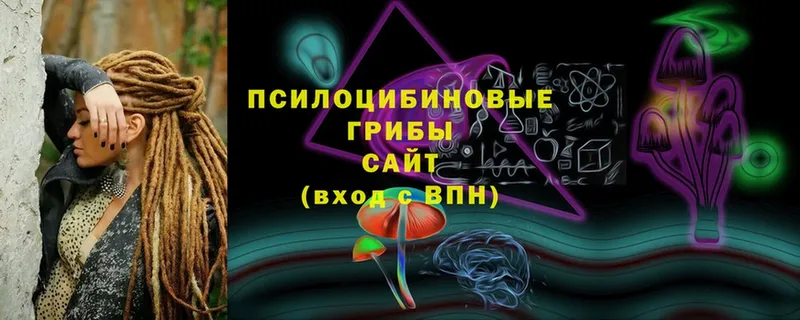 дарнет шоп  Александровск  Галлюциногенные грибы ЛСД 